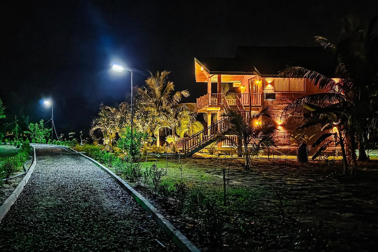 Night Pathway